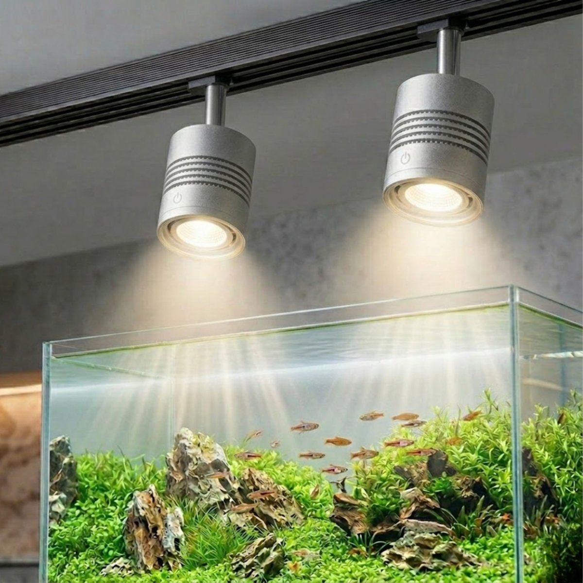 Scientific comparison showing increased plant morphology, leaf size, and vivid coloration when using the optimal UVA exposure provided by Kouvr lighting.