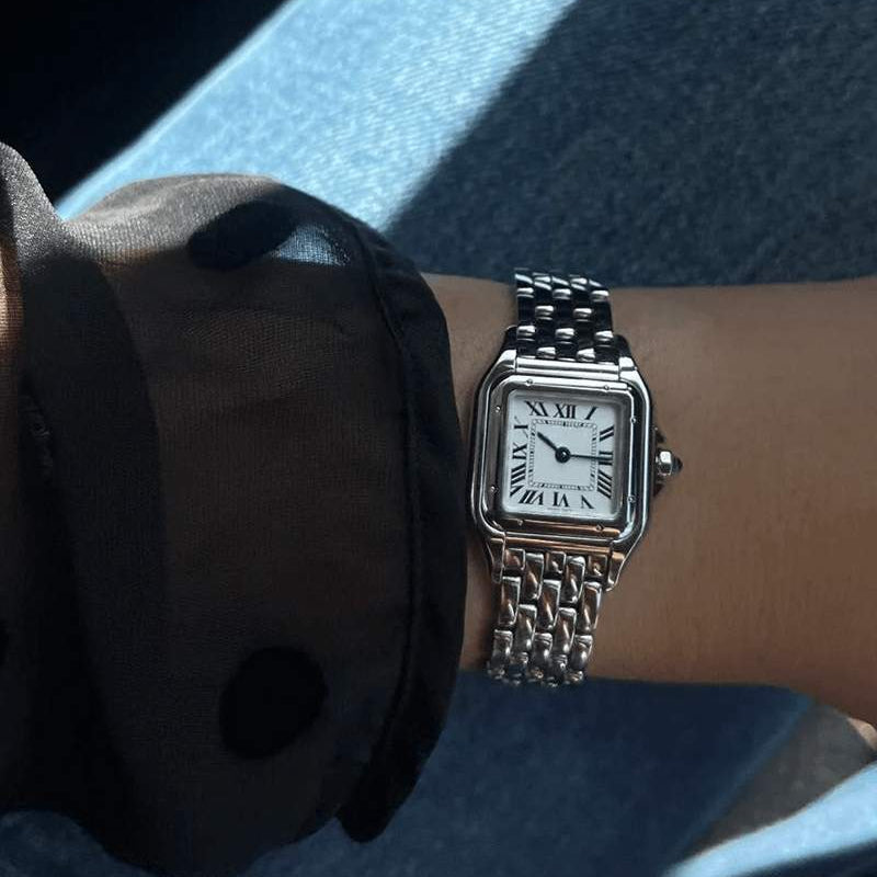 Monaco Watch