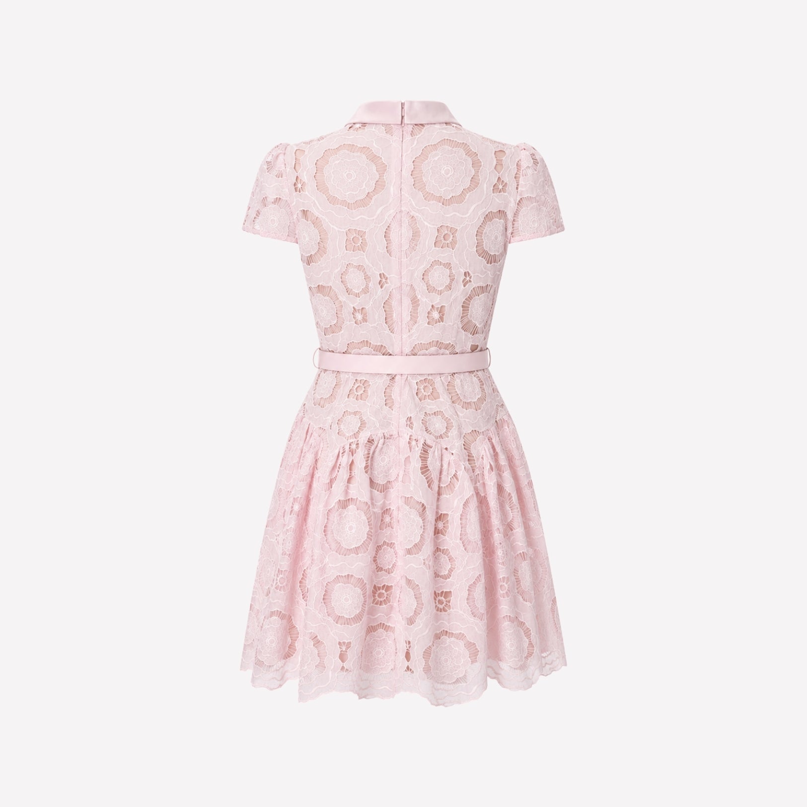 Flat lay back view of Kouvr pink lace fit and flare dress showing sheer lace sleeves and zip closure.