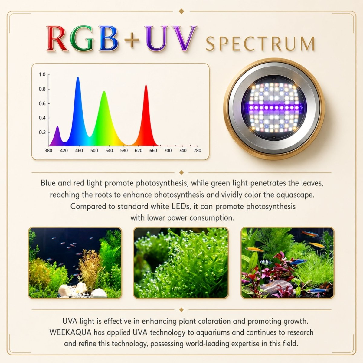 A high-end product infographic titled "RGB + UV SPECTRUM," with the title text itself rendered in red, green, blue, and purple beveled letters. The top section features a detailed framed graph of the light spectrum, from 380nm to 780nm, showing color peaks for UV, blue, green, and red light. To the right is a central large circular aluminum light unit with 140mm dimensions. Explanatory text below states: "Blue and red light promote photosynthesis, while green light penetrates the leaves, reaching the roots