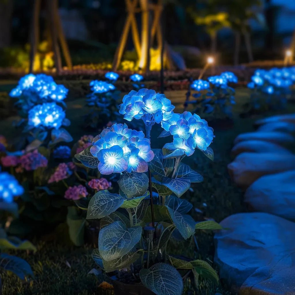 Ethere Hydrangea Glow