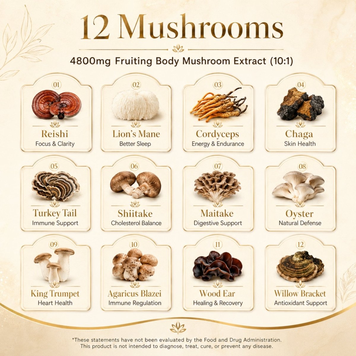 Graphic chart listing the 12 functional mushrooms in Velora Myco coffee including Reishi for clarity, Lion's Mane for sleep, Cordyceps for energy, Chaga for skin health, and Turkey Tail for immunity.