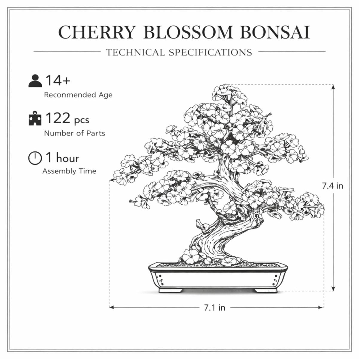 DIY 3D Wooden Puzzle Evergreen Pine Bonsai Tree Kit for Adults &amp; Teens | Desk Shelf Decor Hobby Model Building Craft Gift | Japanese Zen Garden by Kouvr