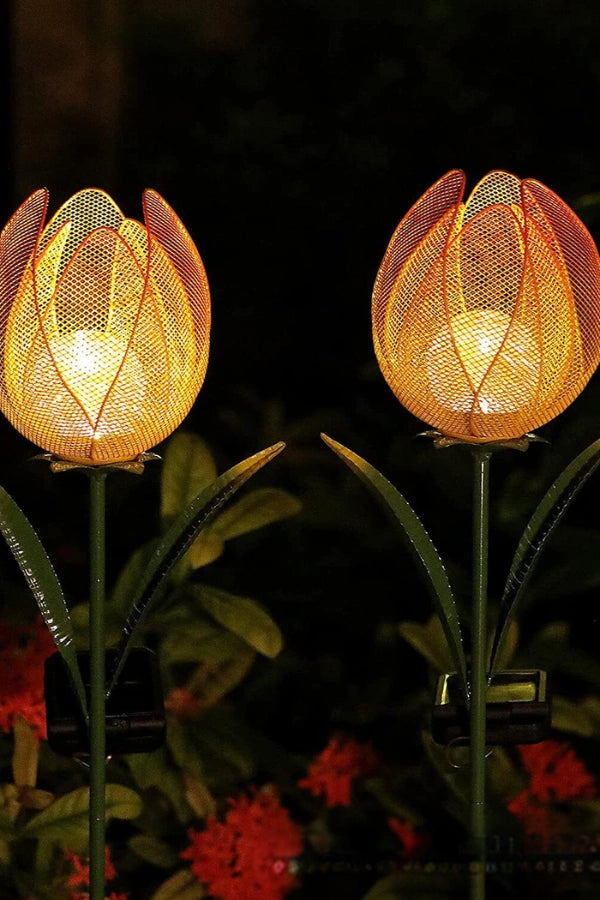 Tulip Light