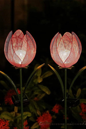 Pink Tulip Ground Plug (Pack of 2)