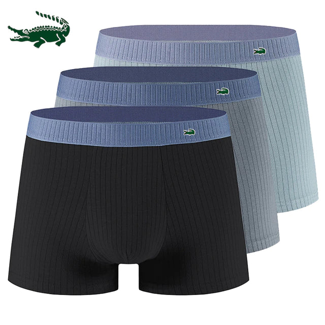 Sous-vêtements Miguel 3 paquets