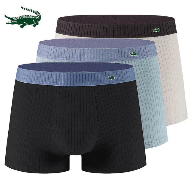 Sous-vêtements Miguel 3 paquets