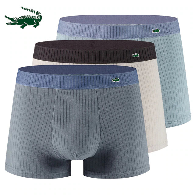 Sous-vêtements Miguel 3 paquets