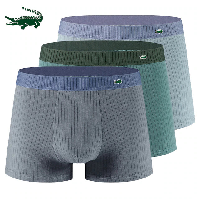 Sous-vêtements Miguel 3 paquets