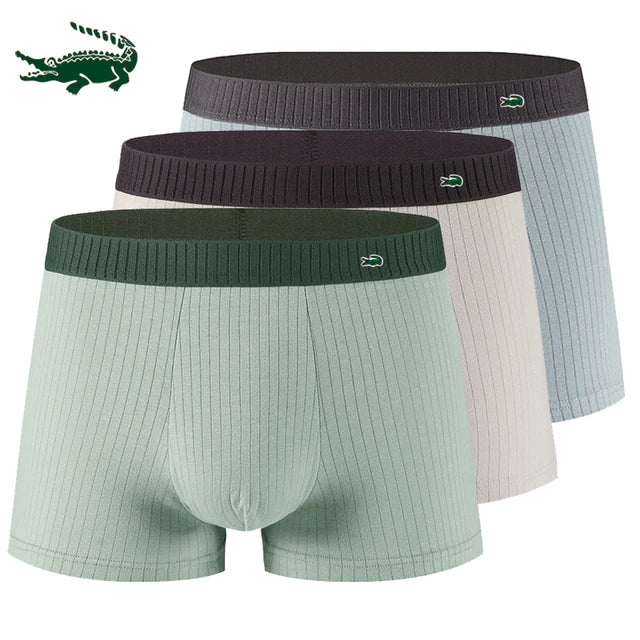 Sous-vêtements Miguel 3 paquets