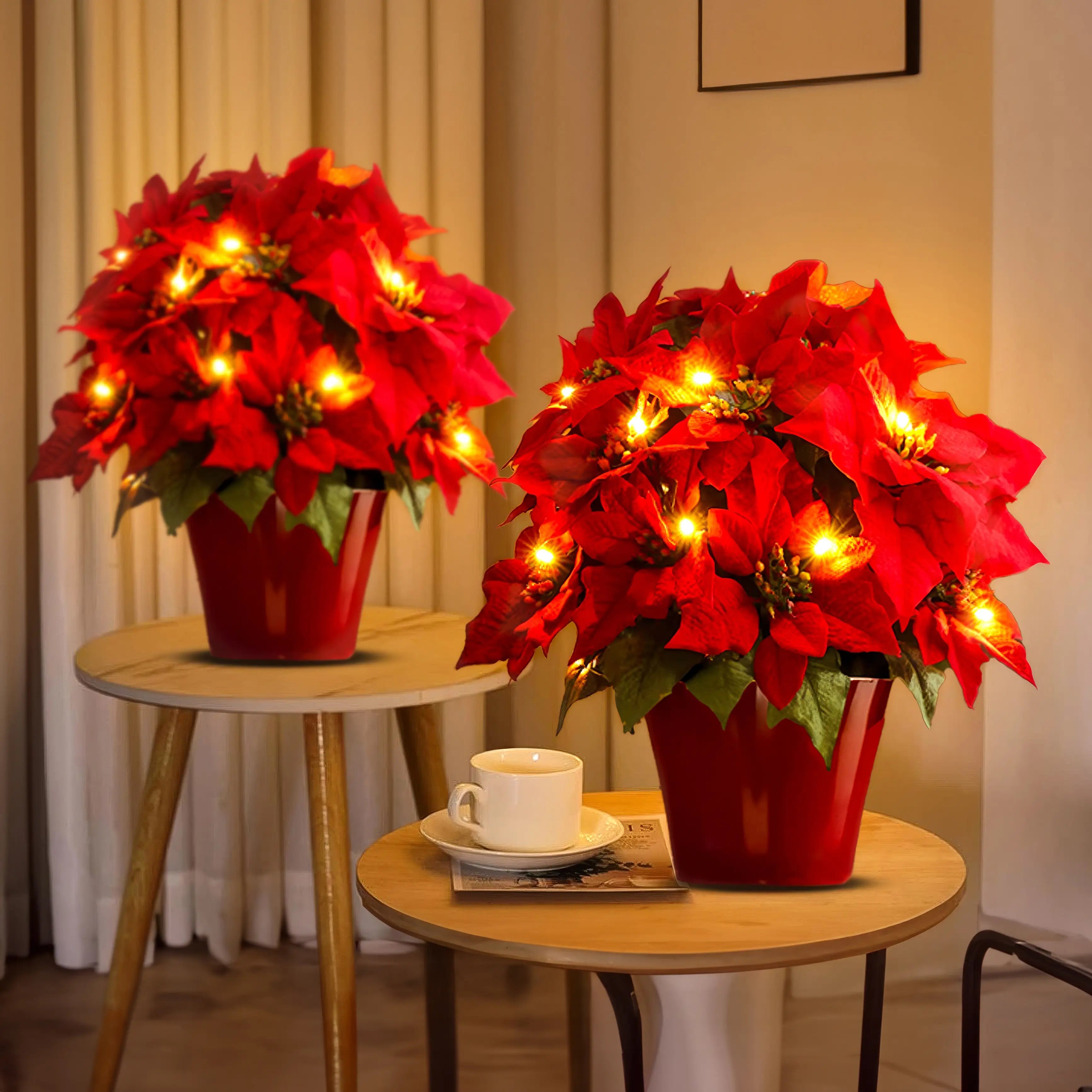 Scarlet Shine Poinsettia