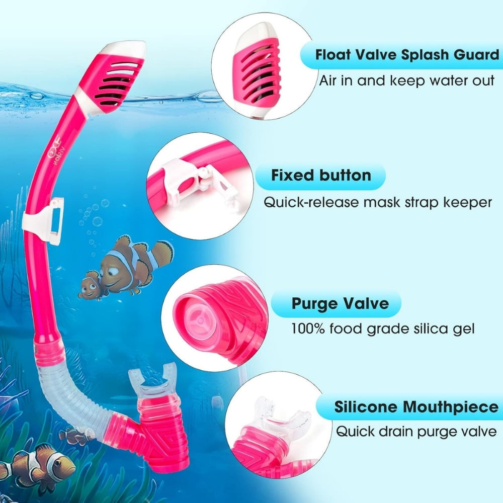MiniReef Explorers