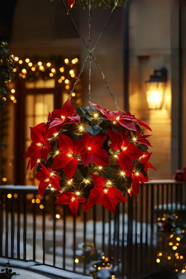 Scarlet Shine Poinsettia