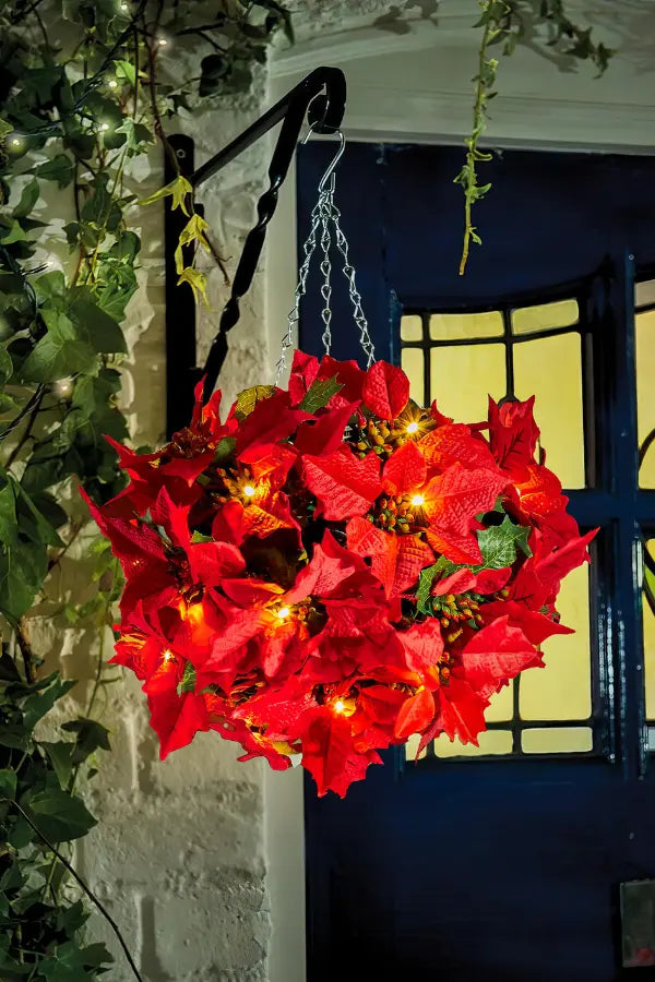 Scarlet Shine Poinsettia