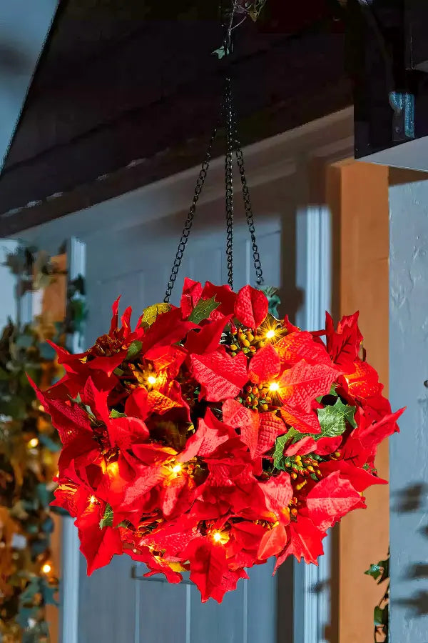 Scarlet Shine Poinsettia