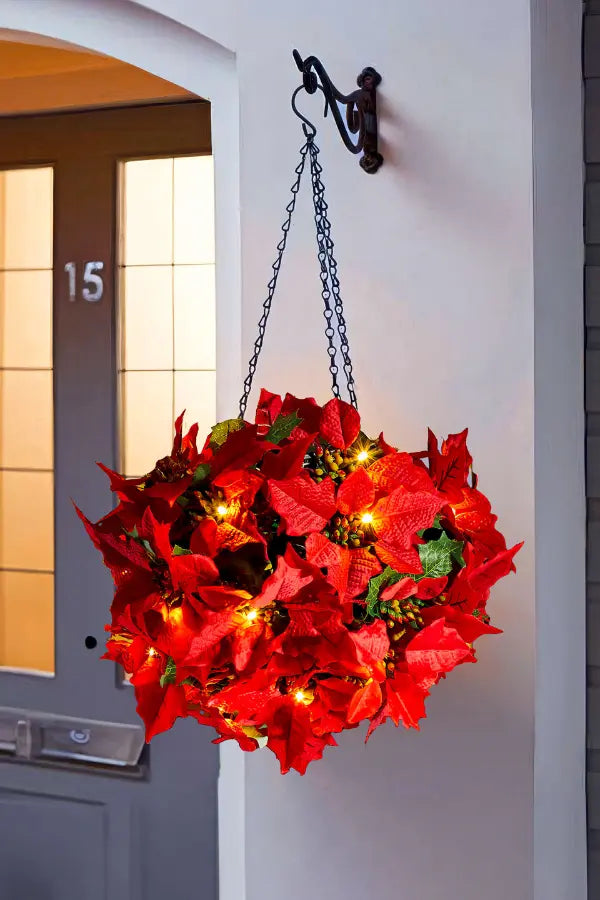 Scarlet Shine Poinsettia