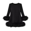 Product flat lay of the front of the Arica black long sleeve mini dress with ostrich feather trim on a white background.