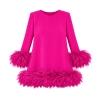 Product flatlay of the front of a dark pink long sleeve dress with ostrich feather trim on a white background.