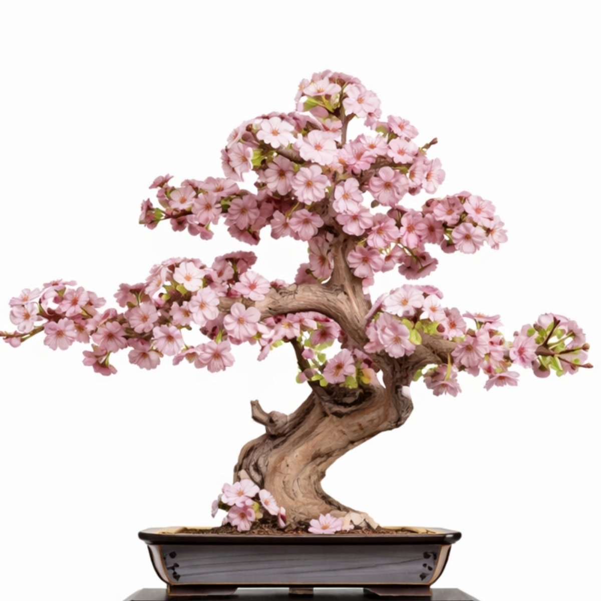 A father and son smiling and bonding while assembling the Kouvr DIY evergreen pine bonsai wooden puzzle kit at a table.