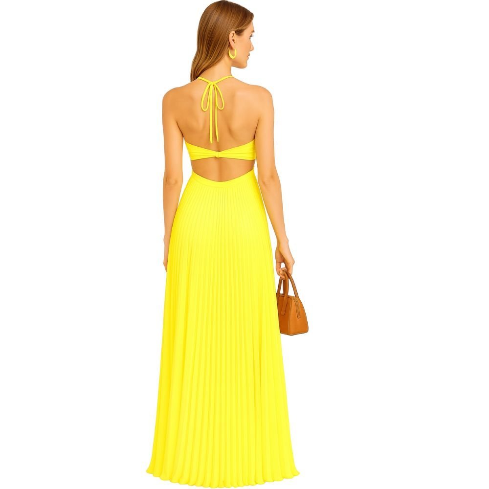 Kouvr Pleated Halter Maxi Dress Back View
