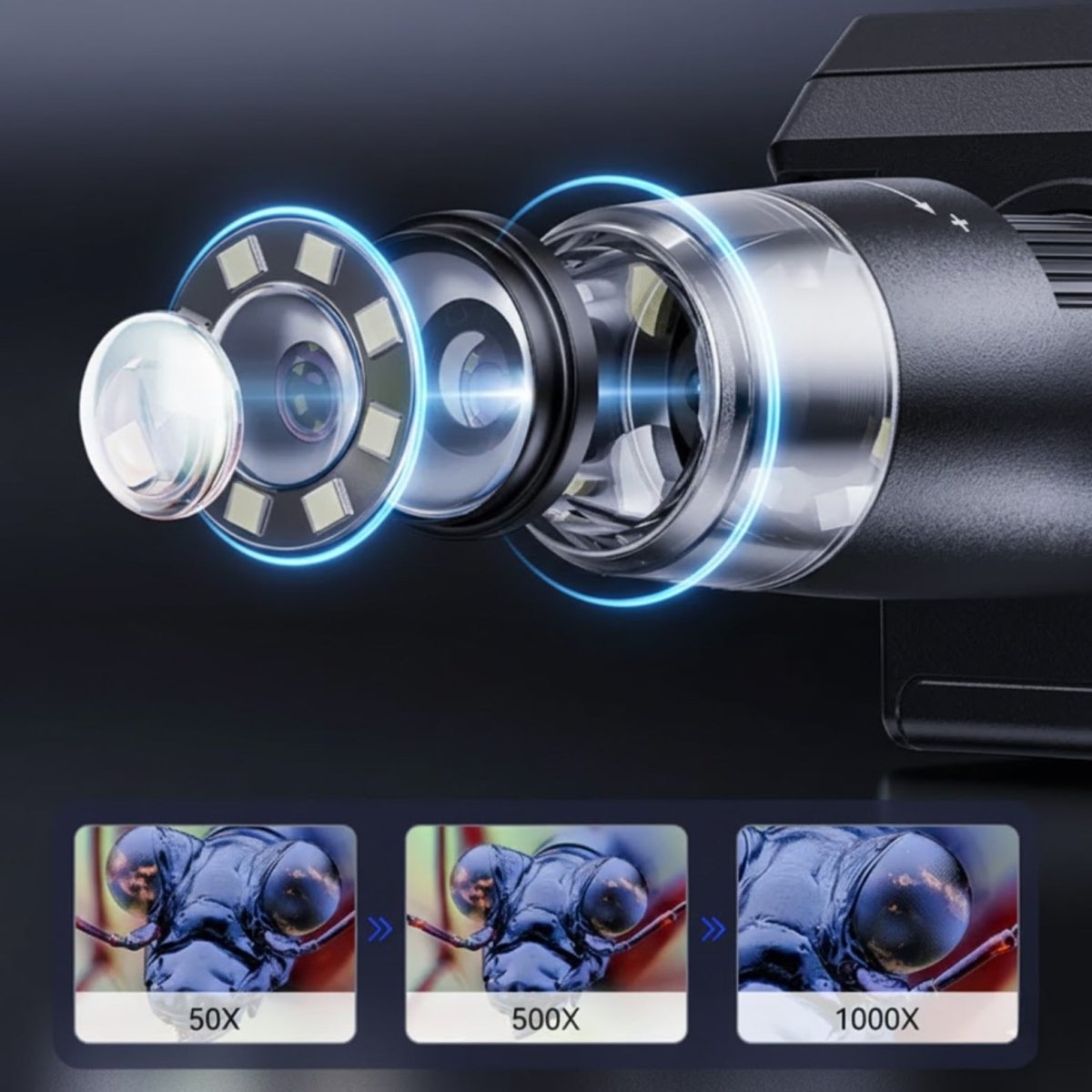 A diagram showing the powerful 50x, 500x, and 1000x zoom capabilities of the Kouvr microscope on an insect's eye.