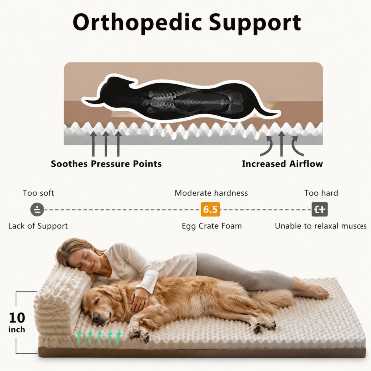 Diagram illustrating the orthopedic pressure relief and increased airflow of the Kouvr human dog bed's 10-inch egg crate foam base.