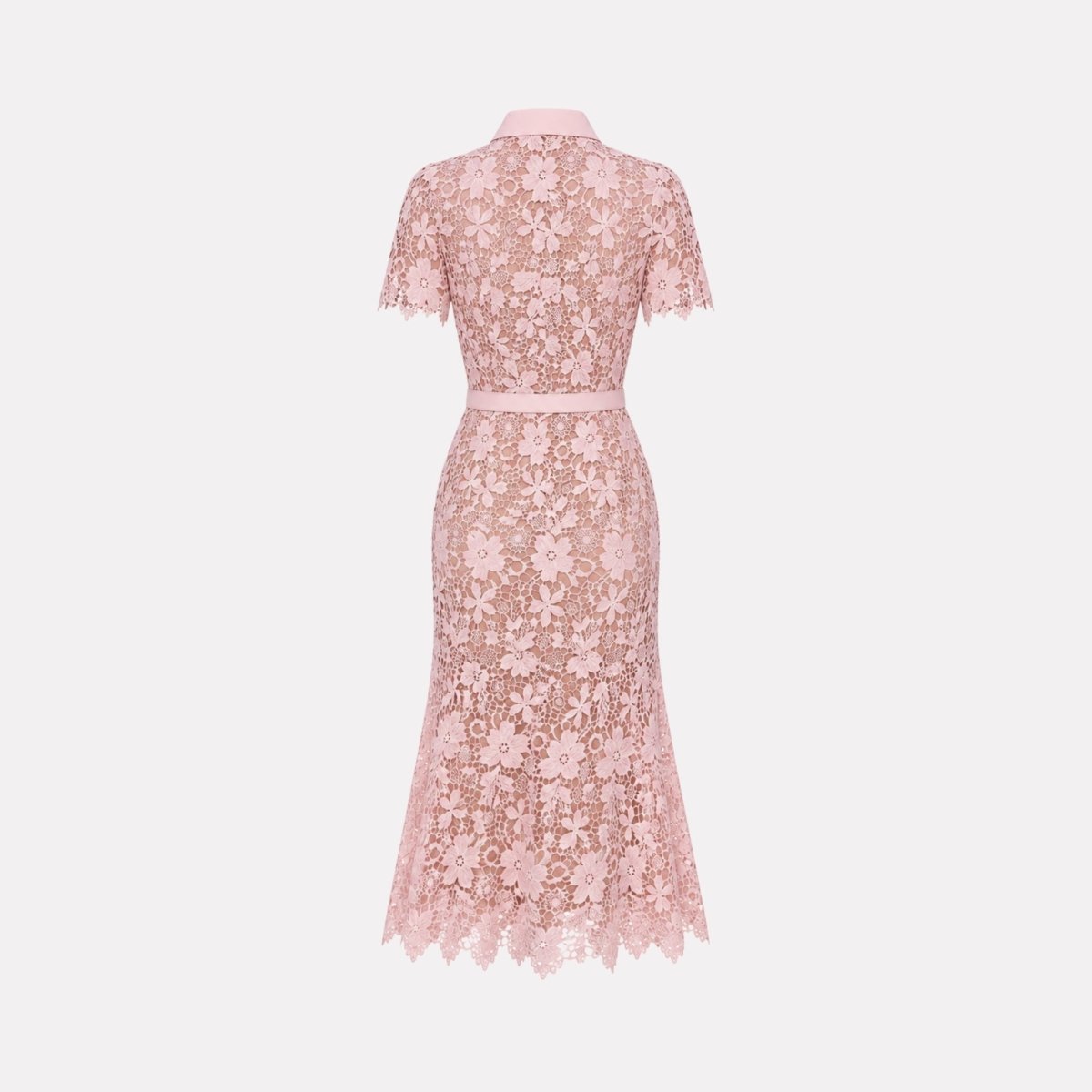 Studio back view of pink floral guipure lace short sleeve midi dress highlighting A-line skirt and collar