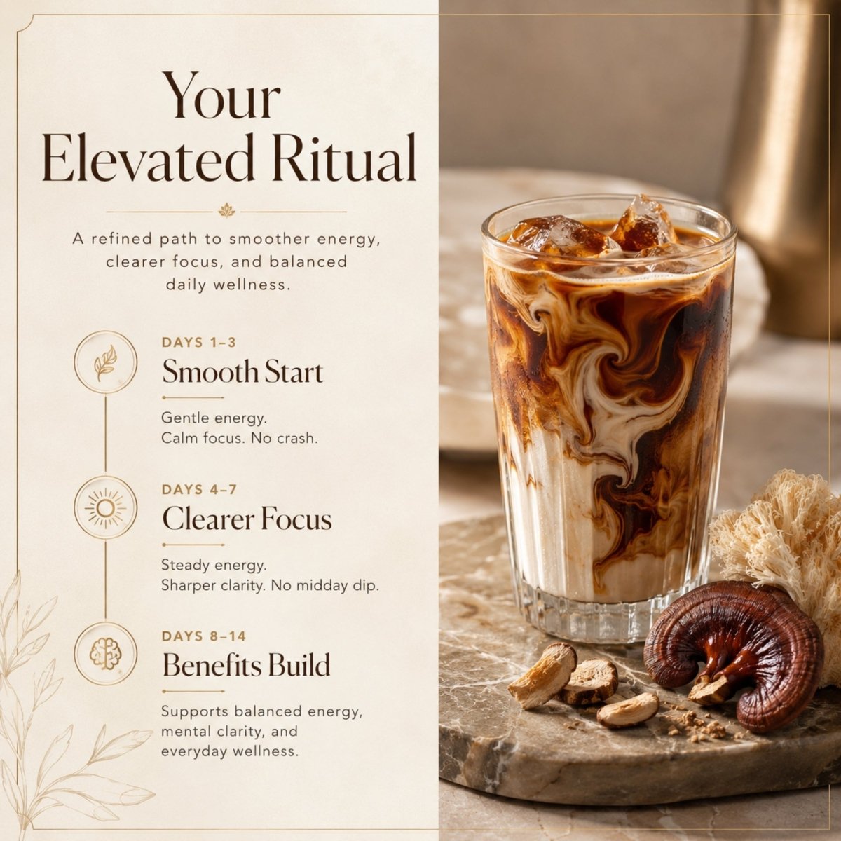 Timeline chart illustrating the cumulative wellness benefits of Velora Myco mushroom coffee over 14 days, highlighting a smooth start, clearer focus, steady energy, and no midday crash.